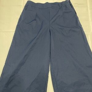 North Face Women’s Summit Navy Standard Wide Leg Pants - Size 14
